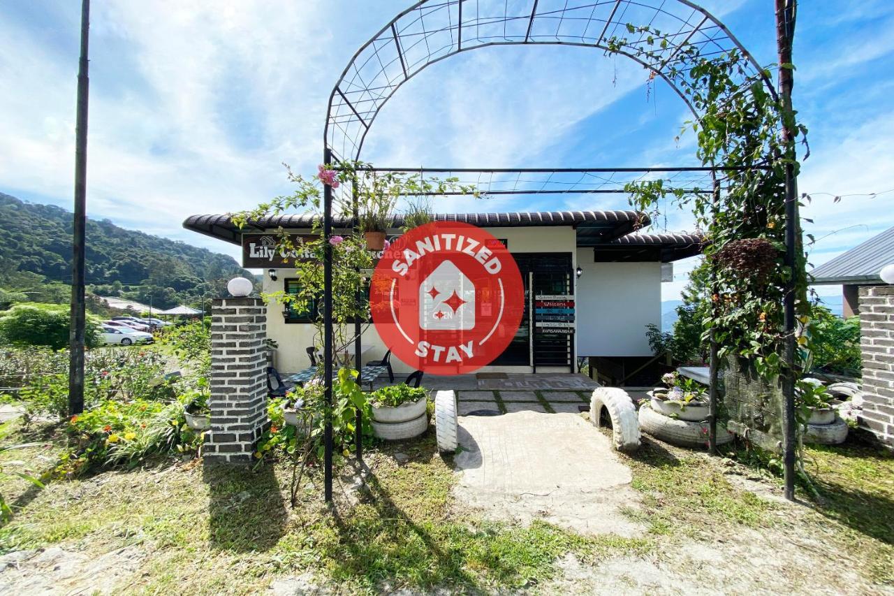 ראנאו Lily Cottage & Kitchen מראה חיצוני תמונה